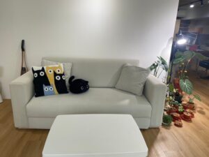 客廳裝潢｜沙發家具｜COSYS Life裝潢統包工程-2
